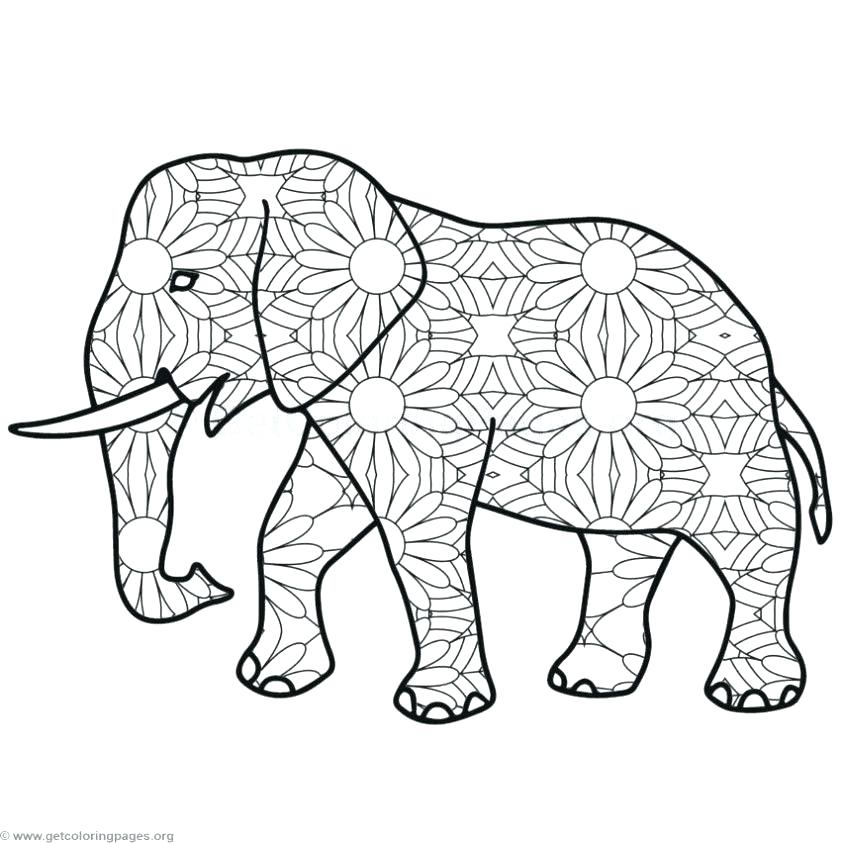 Mandala Elephant Coloring Sheet Coloring Pages