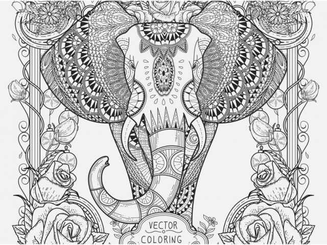 640x480 Elephant Mandala Coloring Pages Shoot Elephant With Patterns
