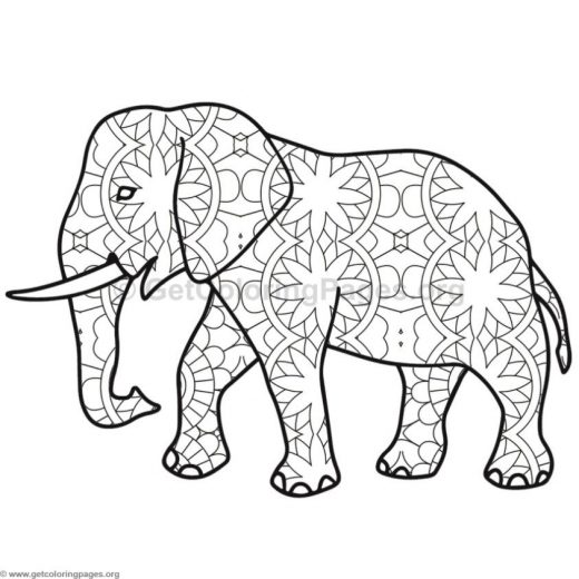 520x520 Baby Elephant Coloring Pages
