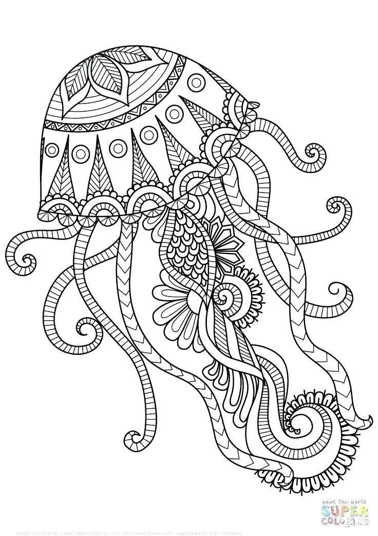 736x1041 Coloring Page Mandala Best Coloring Page Mandala Kids Pages Animal