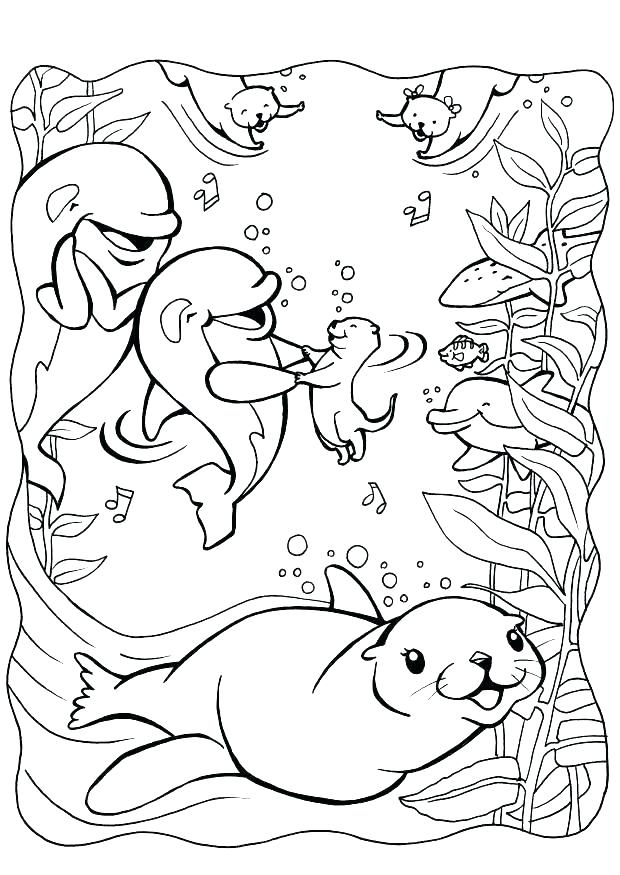 620x875 Seal Coloring Pages Coloring Page Elephant Seal Coloring Pages