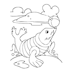230x230 Top Free Printable Seal Coloring Pages For Toddlers