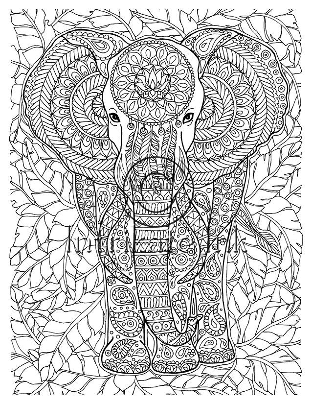 Elephant Zentangle Coloring Pages at GetDrawings | Free download