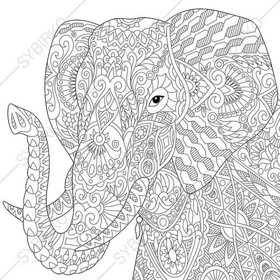 570x570 Adult Coloring Pages Elephant Zentangle Doodle Coloring Book