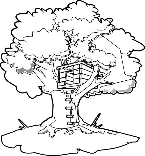 600x646 House In A Tree Coloring Page