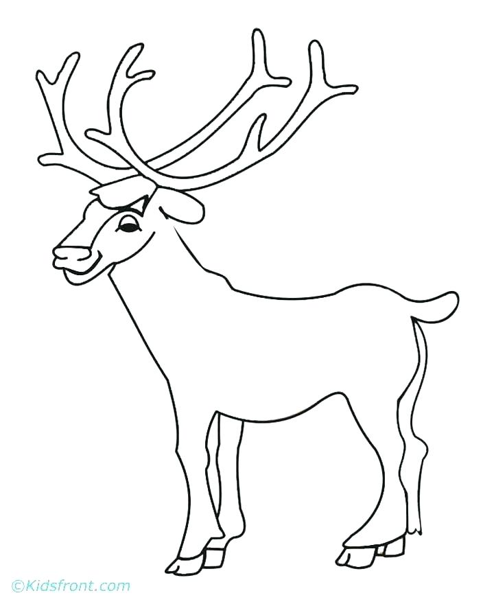 Bugling Elk Coloring Pages