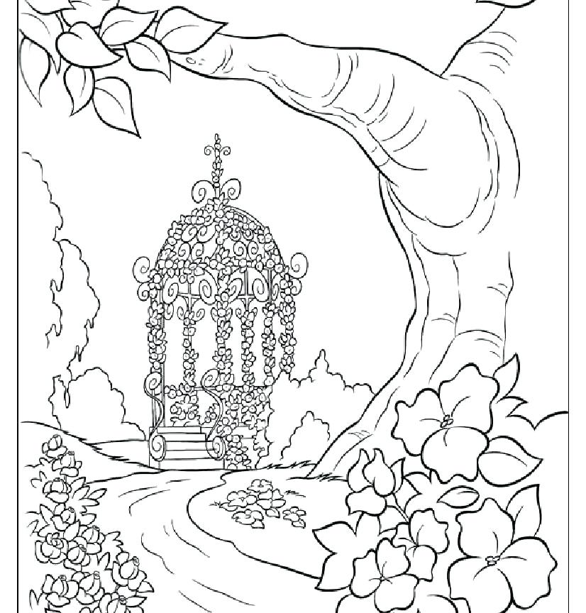 826x864 Island Coloring Page Click To See Printable Version Of Polar Bear