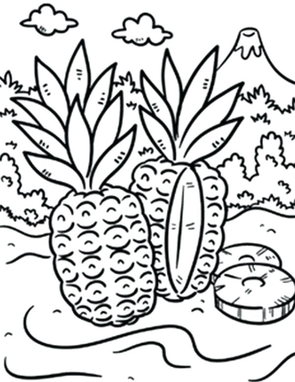 600x777 Island Coloring Pages Wild Pineapple In A Tropical Island Coloring