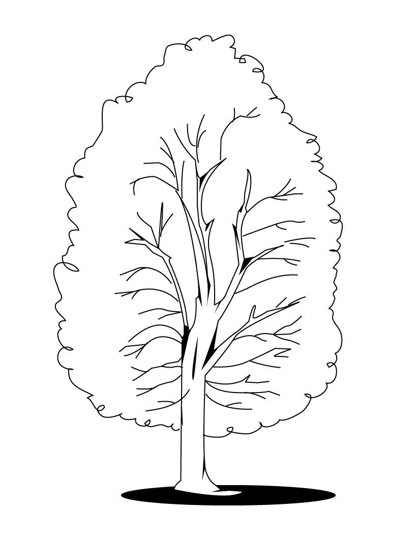 820x1060 Free Printable Tree Coloring Pages For Kids