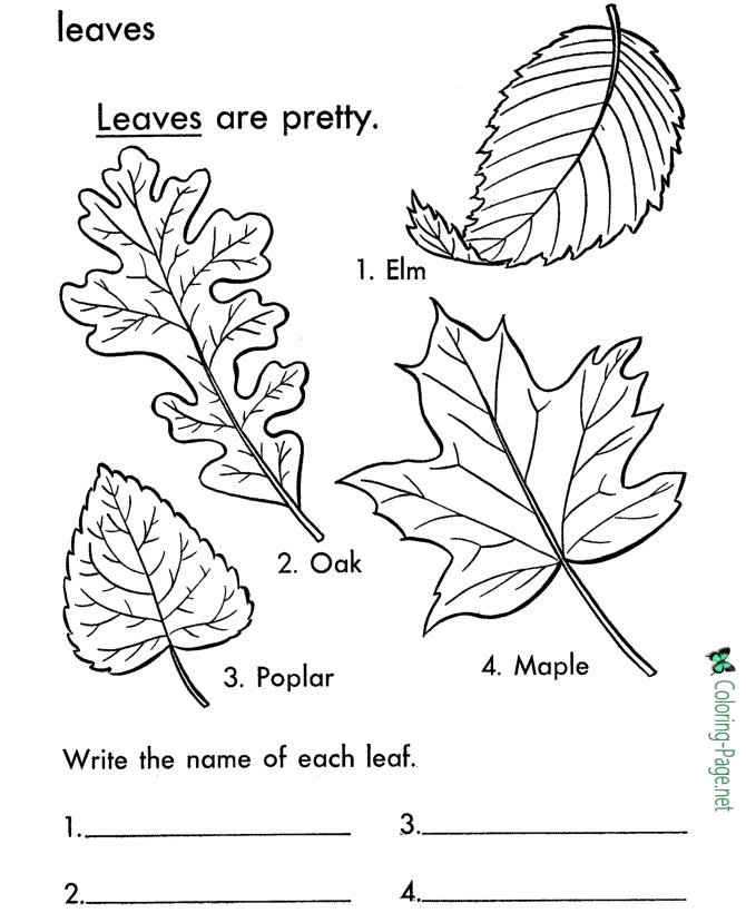 670x820 Tree Leaves Coloring Pages