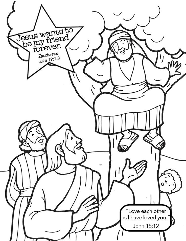 736x952 Zacchaeus Coloring Page