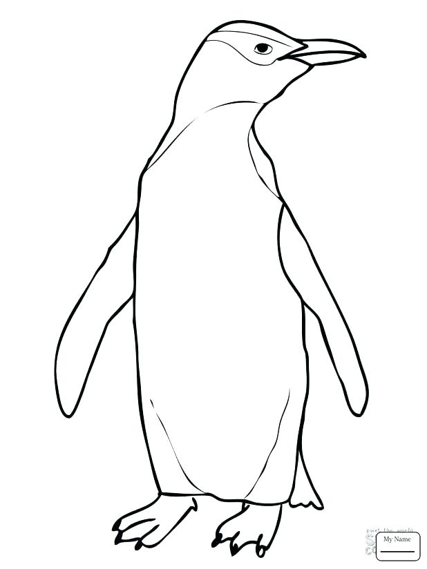 618x824 Emperor Penguin Coloring Page Printable Penguin Coloring Pages