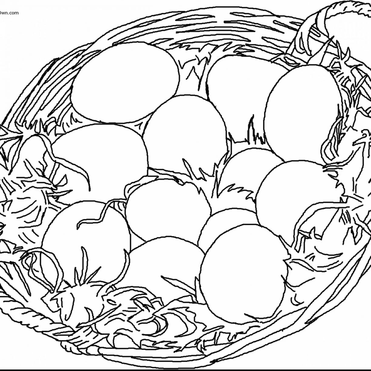 1224x1224 Easter Basket Colorings For Kids Sensational Bunny Egg Colouring