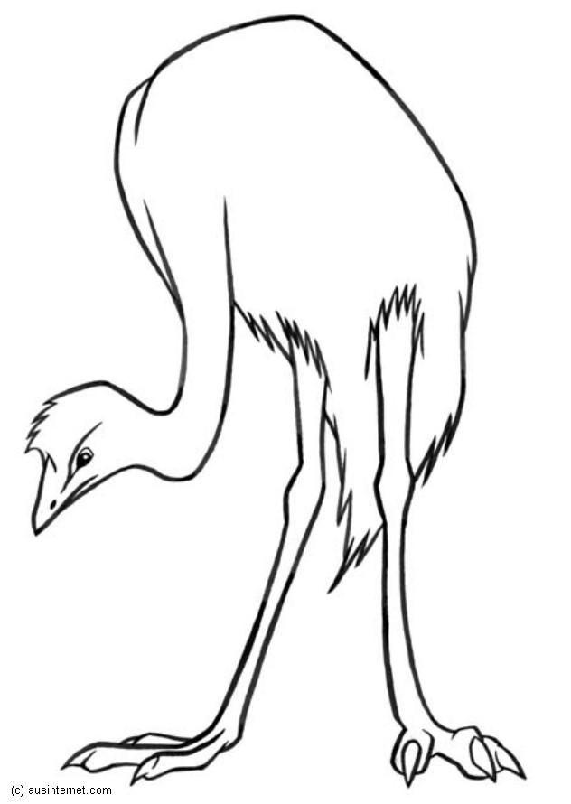 632x890 Coloring Page Emu