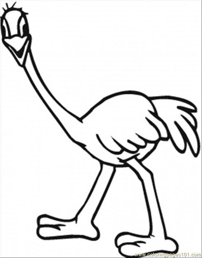 650x827 Emu Coloring Pages For Kids