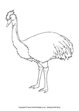320x452 Emu Colouring Page Christmas Aussie Emu