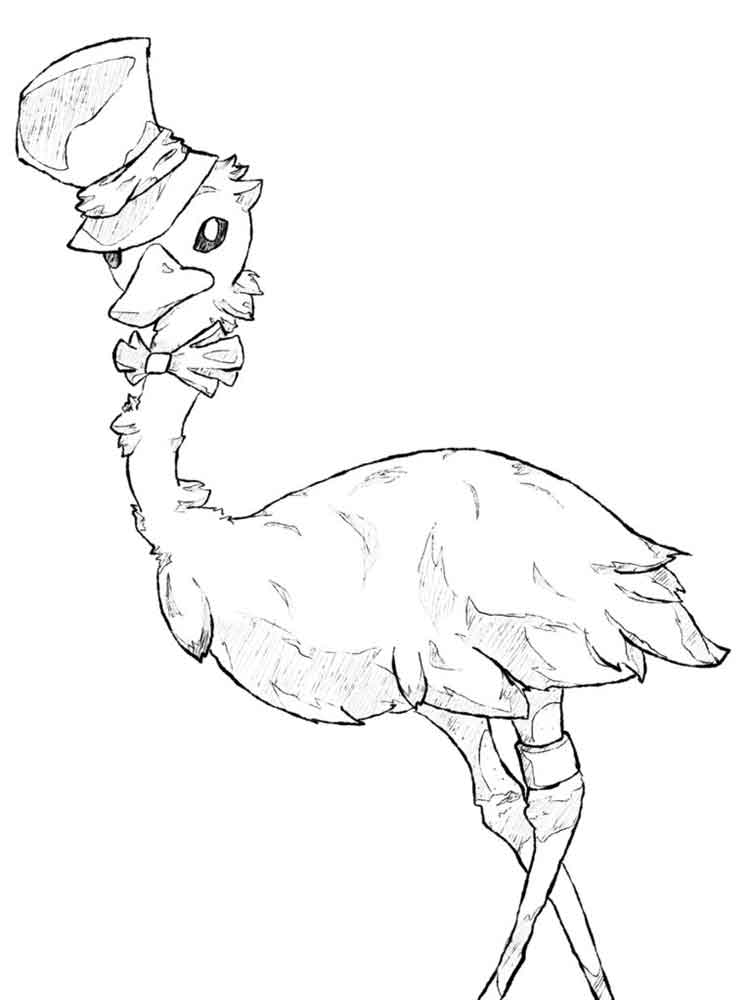 750x1000 Emu Birds Coloring Pages