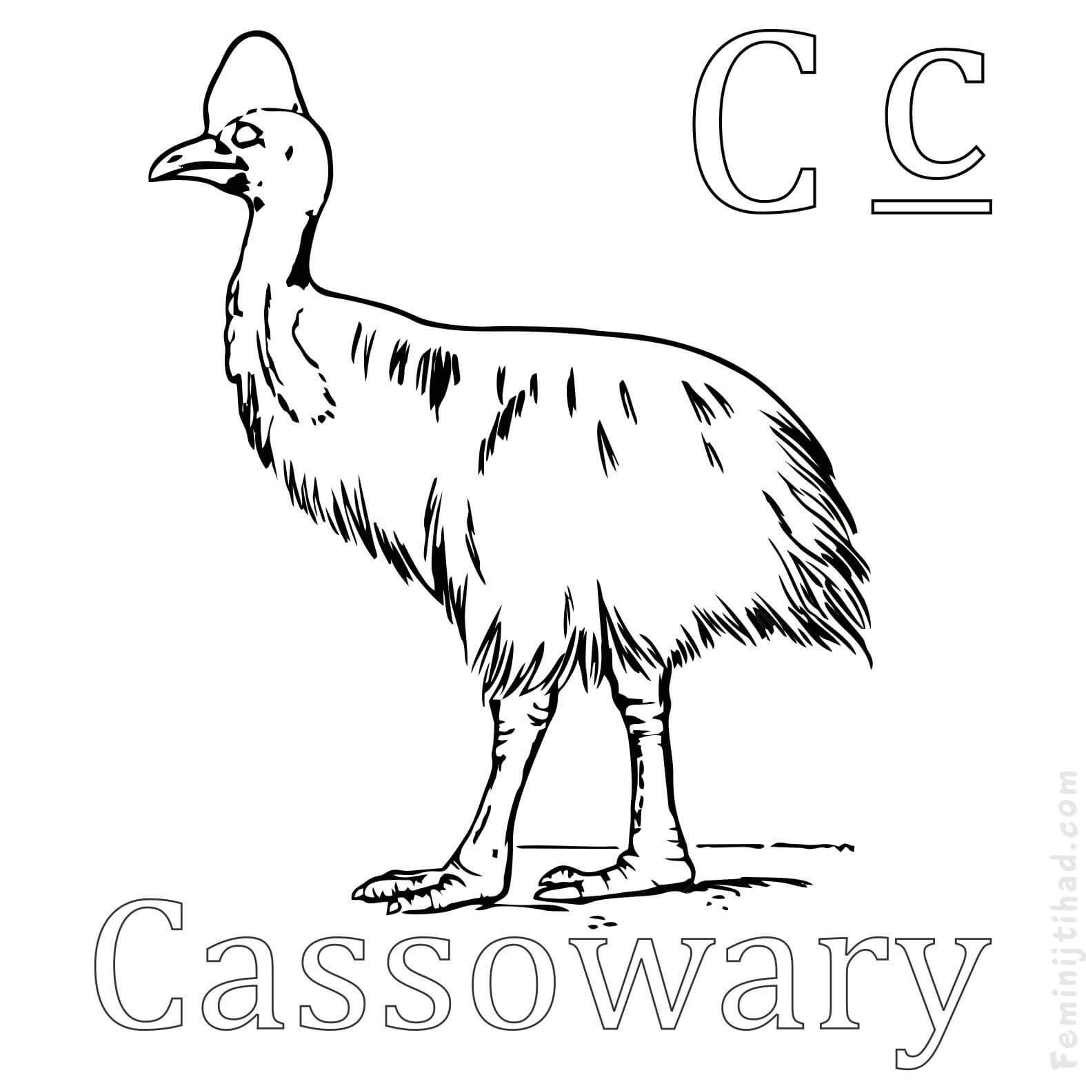 1575x1575 Free Cassowary Coloring Pages Coloring Pages For Kids