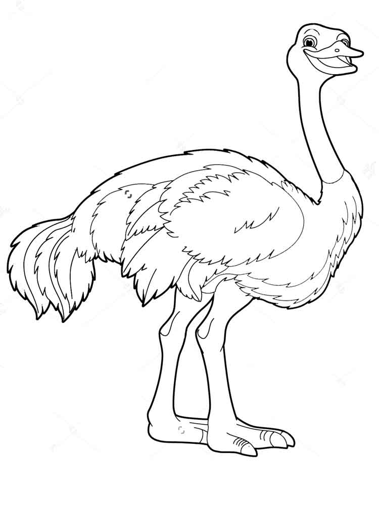 750x1000 Ostrich Coloring Pages Download And Print Ostrich Coloring Pages