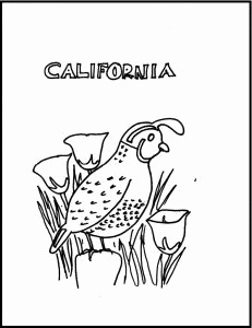 231x300 Adult Coloring Page Koala Printable Colouring Page Zentangle Emu