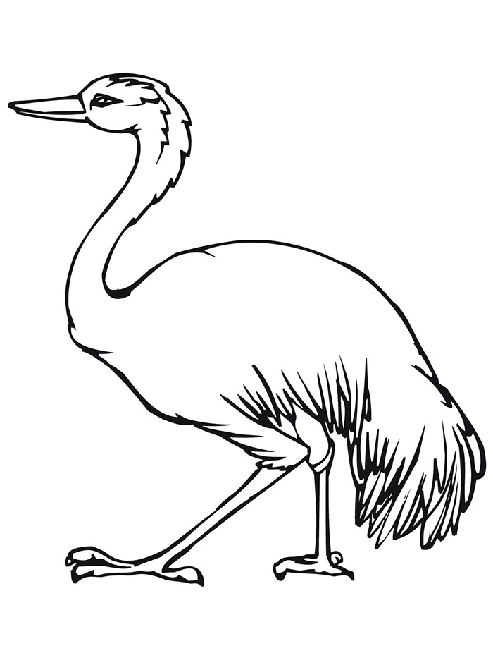 700x933 Australian Animal Template