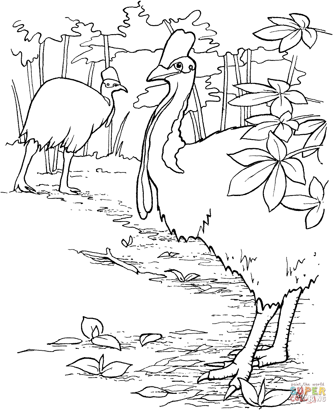 1072x1320 Best Of Cassowary Coloring Page Collection Printable Coloring Sheet