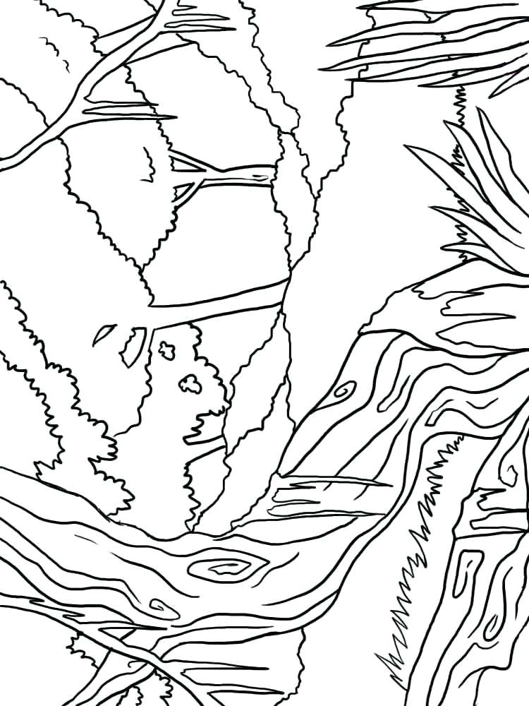 750x1000 Forest Coloring Pages Forest Coloring Pages Enchanted Forest