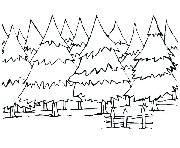 600x493 Forest Coloring Pages To Print Forest Colouring Pages Coloring