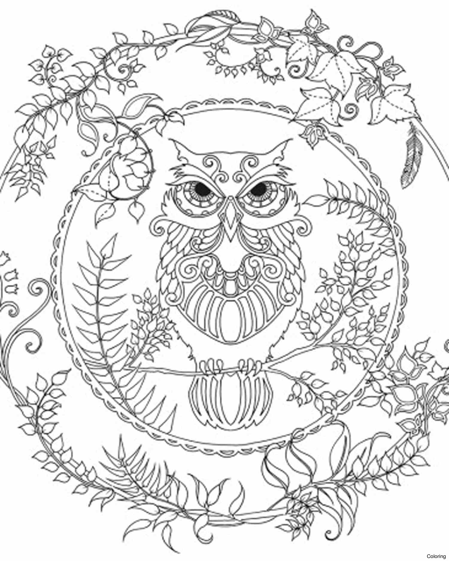 1500x1874 Cool Enchanted Forest Coloring Pages Pdf Adult Owl