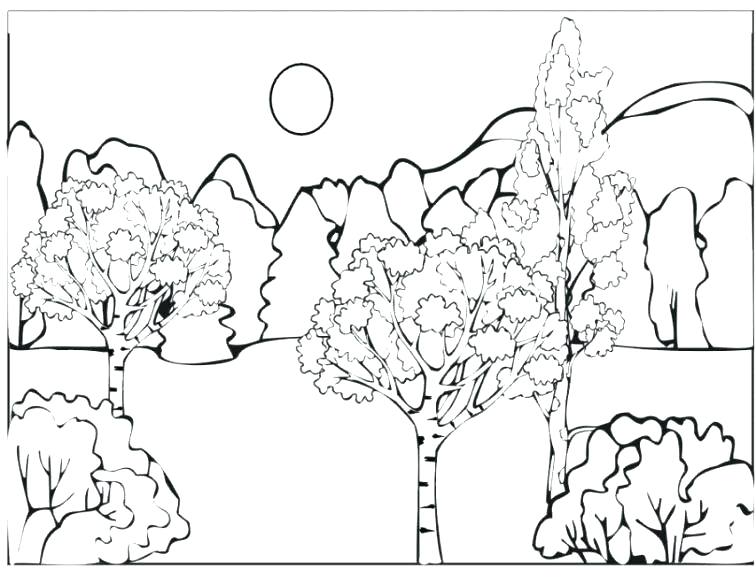 756x585 Enchanting Rainforest Coloring Page Forest Coloring Pages