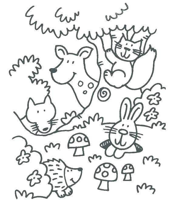557x674 Forest Coloring Page Forest Coloring Pages Printable Forest