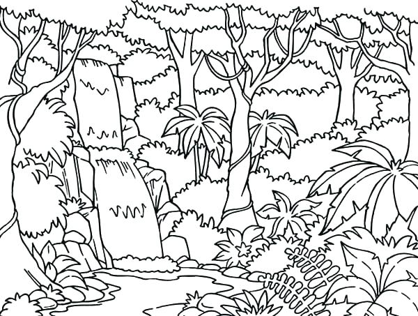 600x453 Forest Coloring Pages Forest Coloring Page Rain Forest Coloring