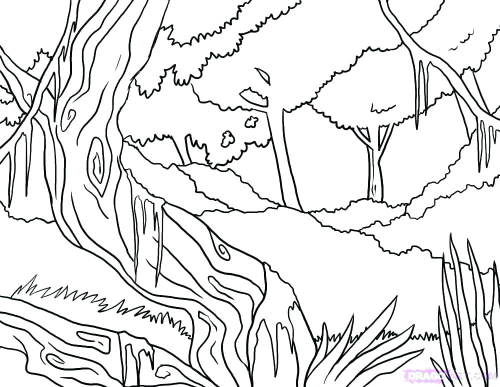 1000x774 Forest Coloring Pages Images Drawn Forest Colouring Pencil