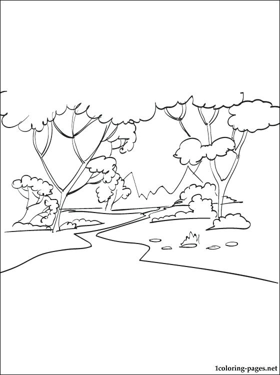 560x750 Fresh Forest Coloring Pages Printable For Forest Coloring Page