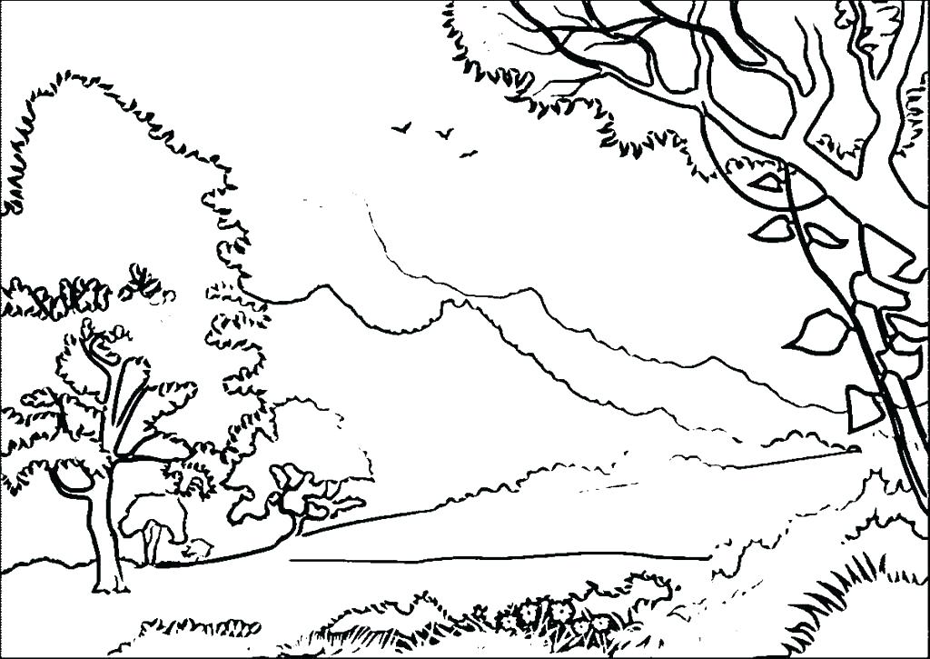 1024x725 Forest Colouring Pages