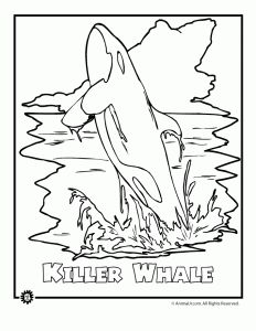 232x300 Endangered Ocean Animal Coloring Pages Animals