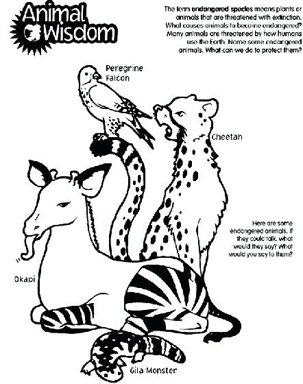 Endangered Animals Coloring Pages at GetDrawings.com | Free for