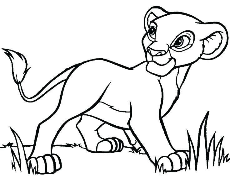 736x568 Endangered Species Coloring Pages Coloring Pages Flowers Hard