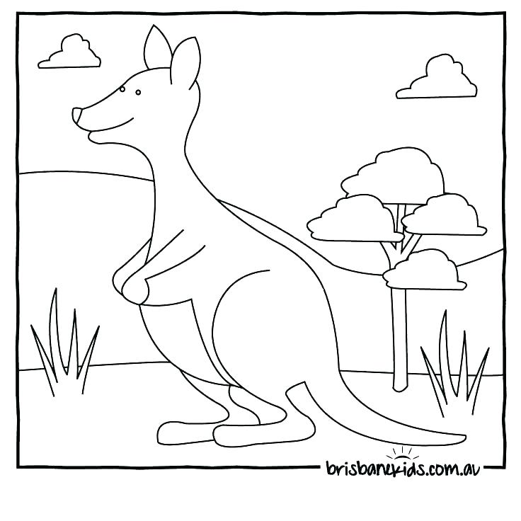 736x736 Endangered Species Coloring Pages Endangered Animals Coloring