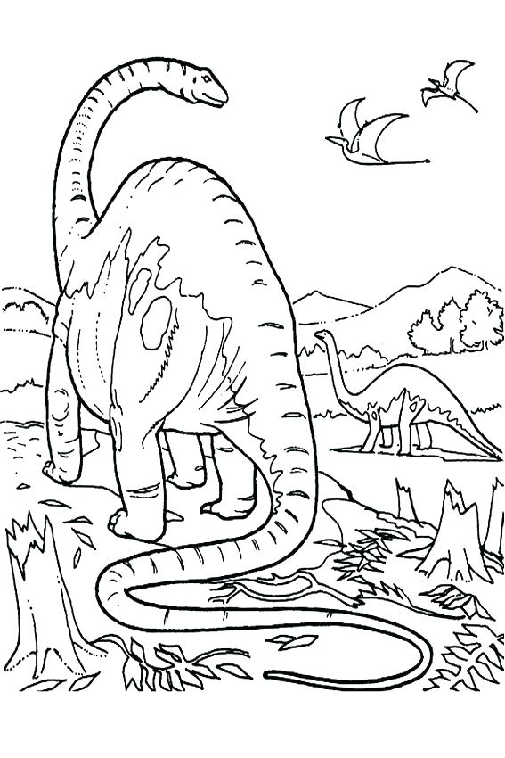 Download Endangered Animals Coloring Pages at GetDrawings.com | Free for personal use Endangered Animals ...