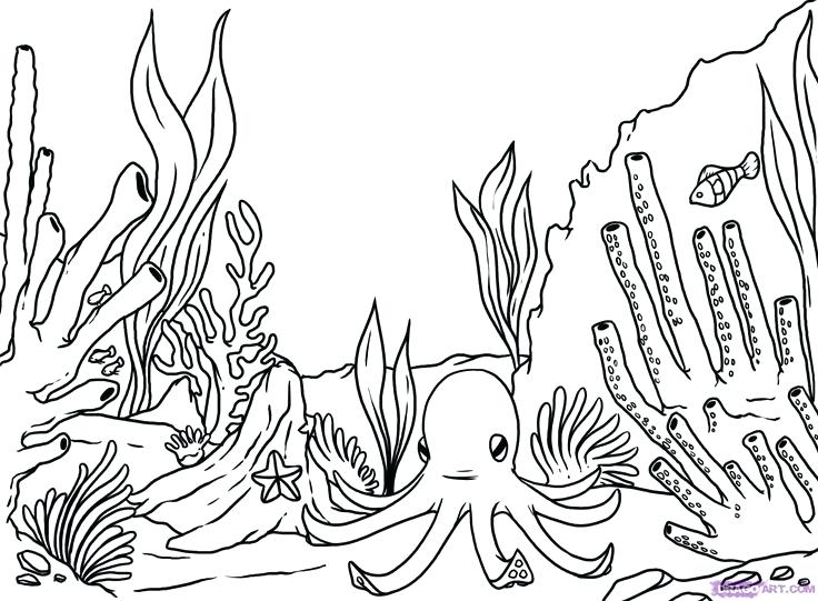 736x541 Terrific Endangered Species Coloring Pages Reef Plants Coloring