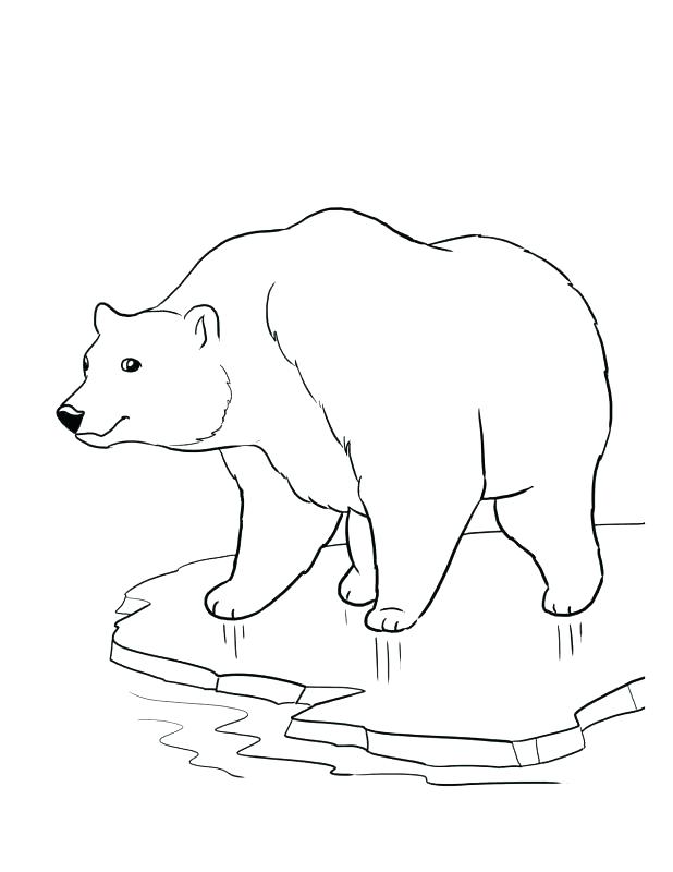 618x800 Endangered Species Coloring Pages Endangered Species Coloring