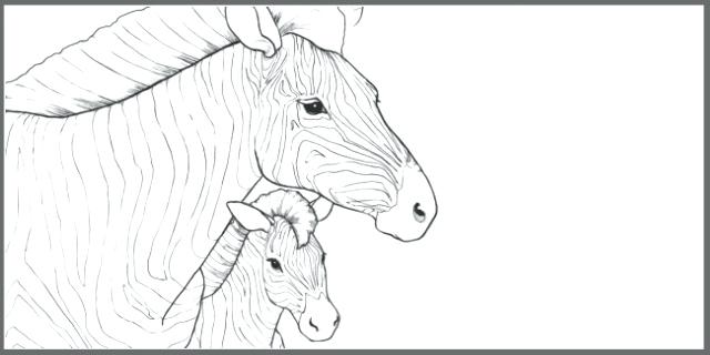 640x320 Endangered Species Coloring Pages Wildlife Coloring Pages