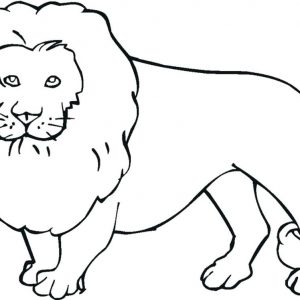 300x300 Free Coloring Pages Of Endangered Animals Copy Endangered Animals