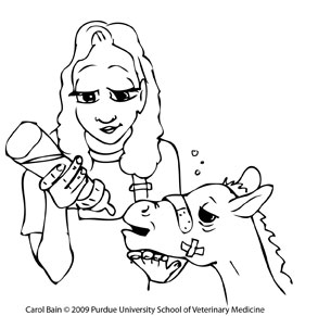 293x291 Free Coloring Pages