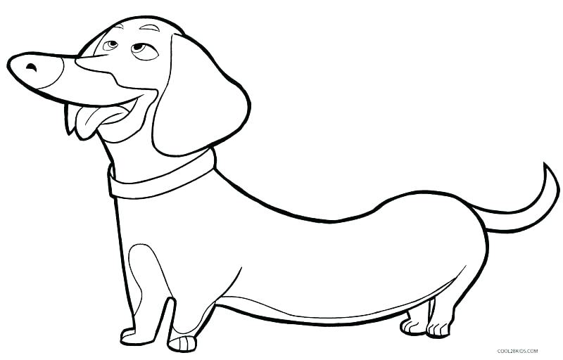 800x512 Free Dog Coloring Pages Free Dog Coloring Pages Fresh Dogs