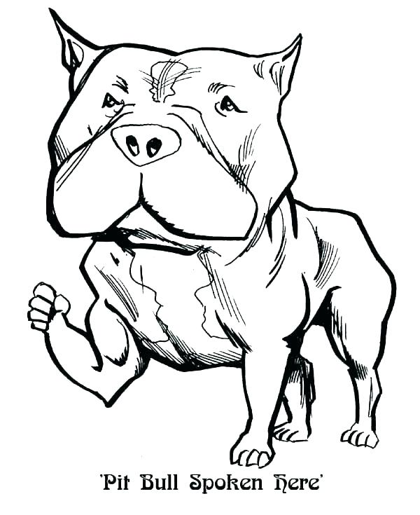 600x735 Bulldog Coloring Page Bulldog Coloring Pages Is In The Kennel Page