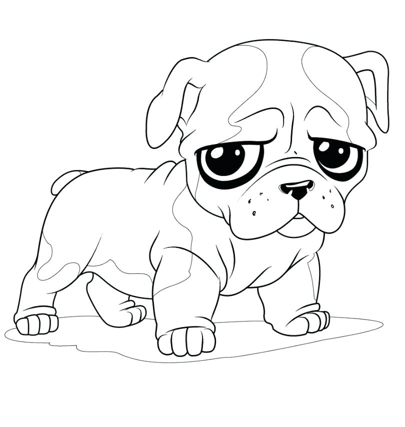 810x854 Bulldog Coloring Pages Bulldog Coloring Page English Bulldog