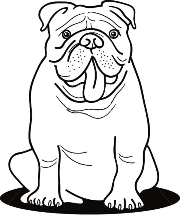 600x746 Bulldog Coloring Pages Fresh Printable Dog Coloring Pages For Kids