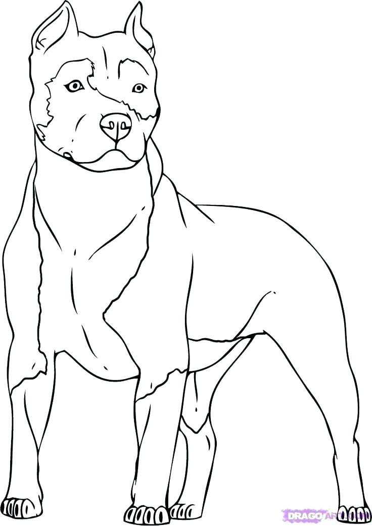 736x1042 Rottweiler Animal Coloring Pages